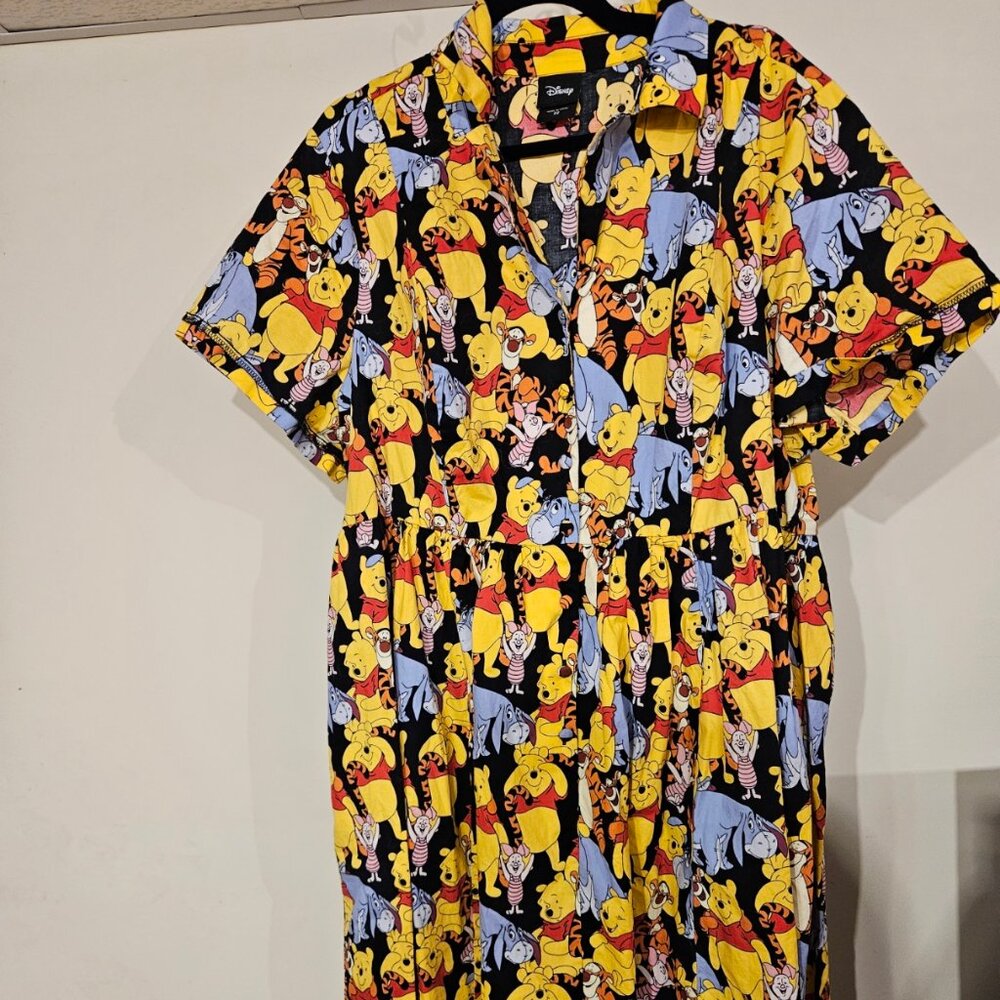 Disney Winnie the Pooh Dress - Size 22